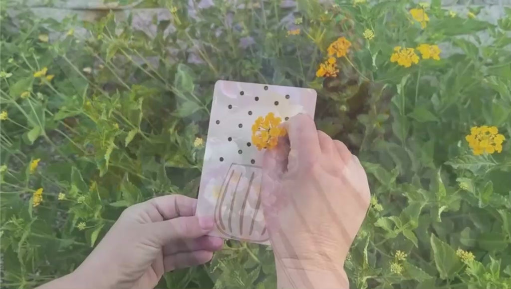 Nature Walk DIY Bouquet