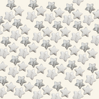 Howlite Crystal Star