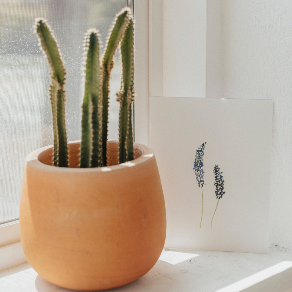 Lavender Art Print
