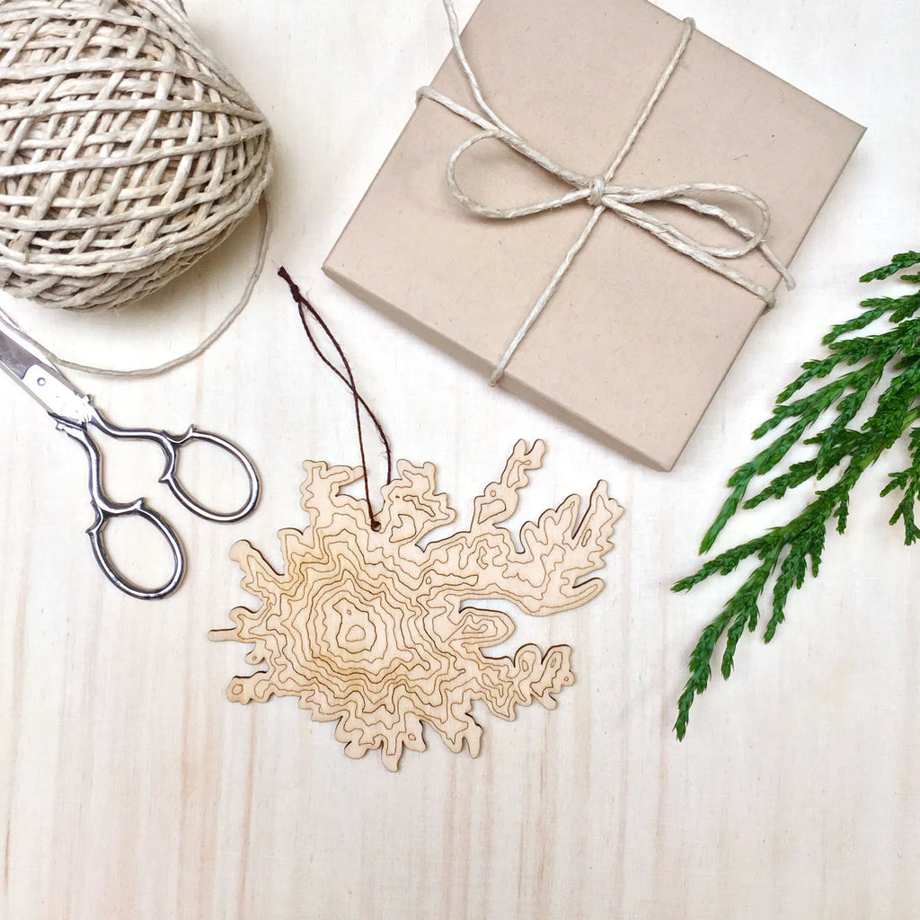 Mt Rainier Topography Ornament