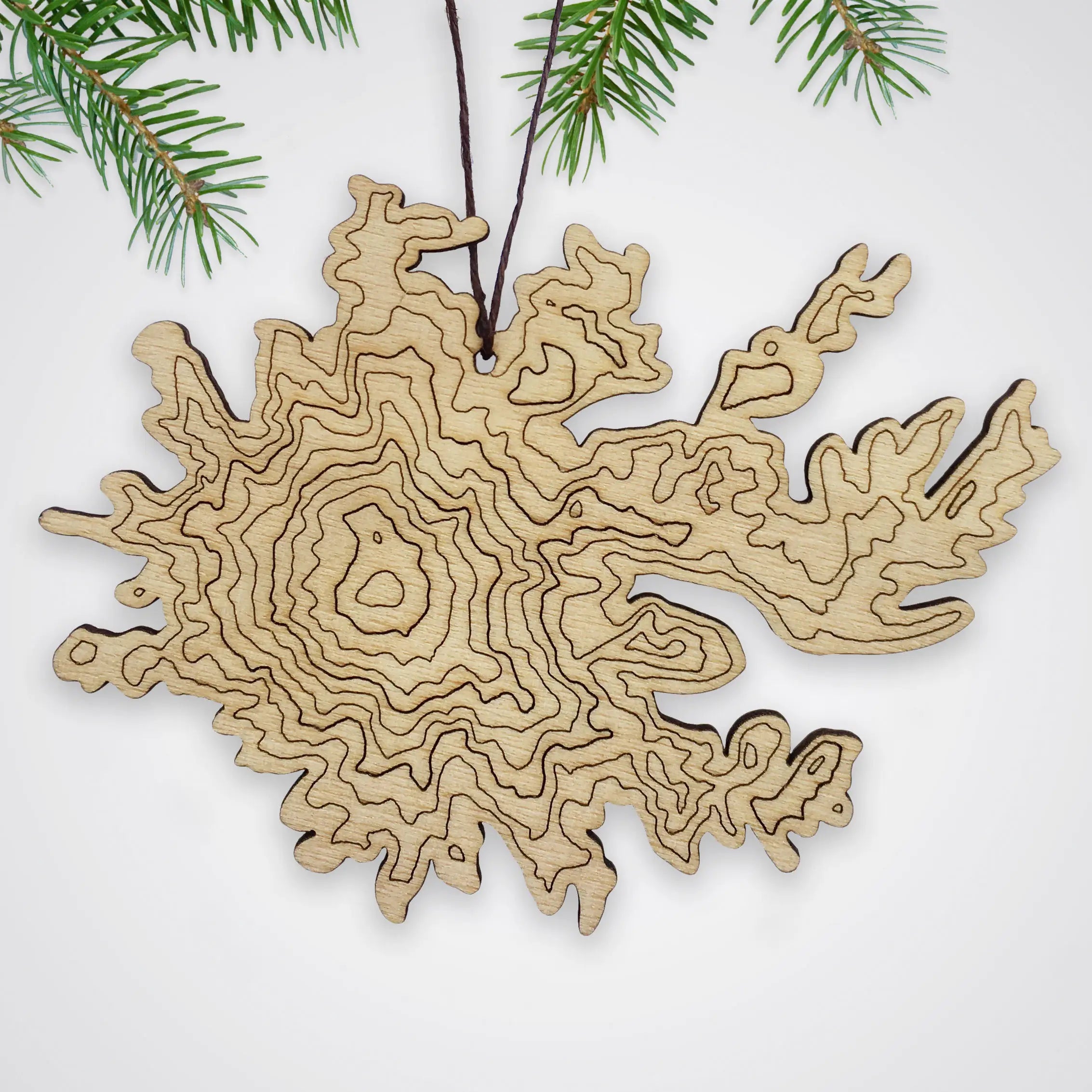 Mt Rainier Topography Ornament