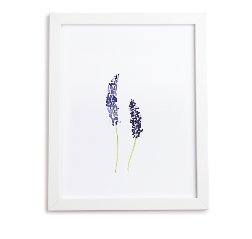 Lavender Art Print
