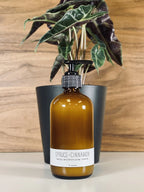 Spruce & Cinnamon Daily Moisturizing Lotion