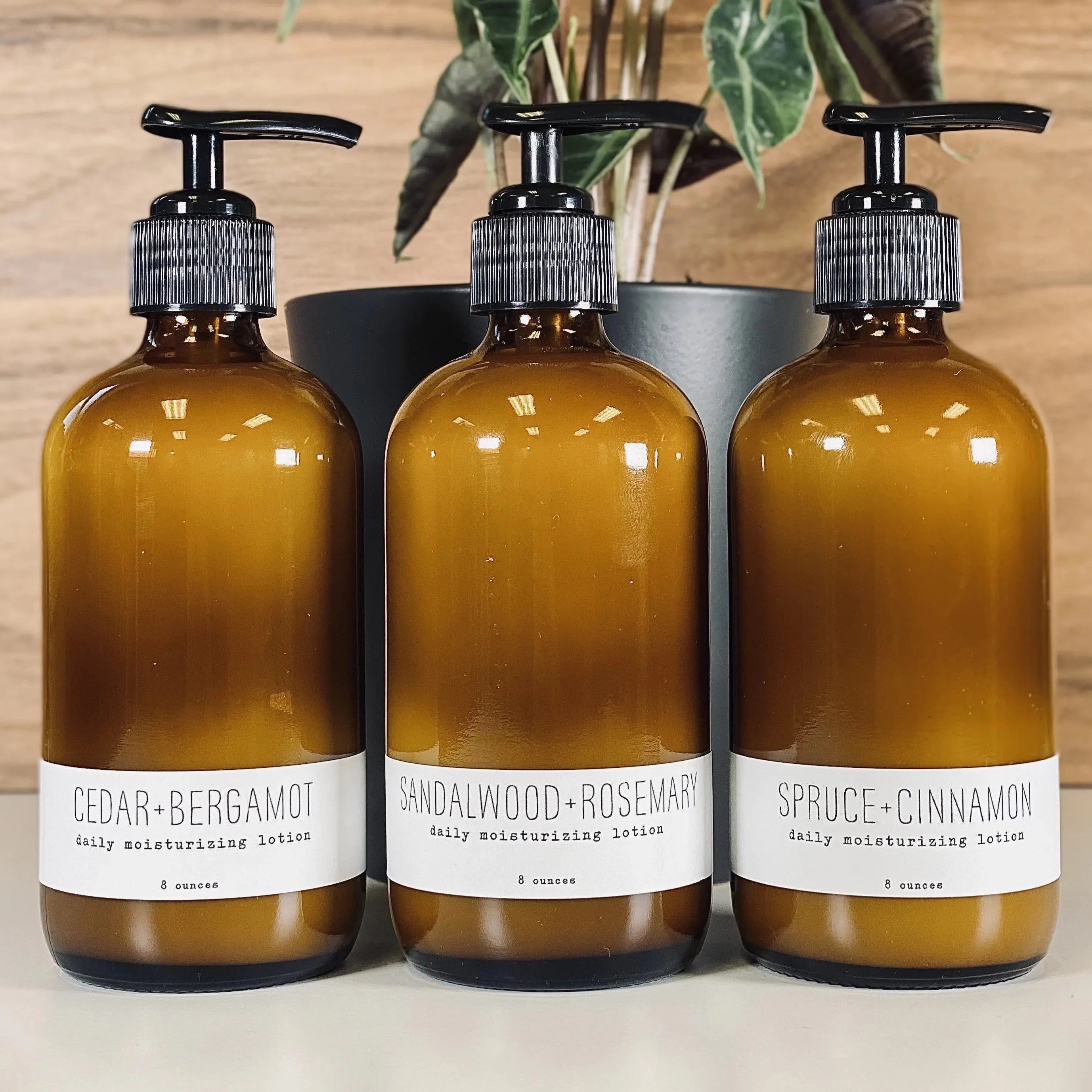 Spruce & Cinnamon Daily Moisturizing Lotion