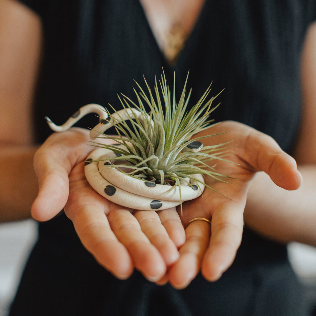Medium Ceramic Snake