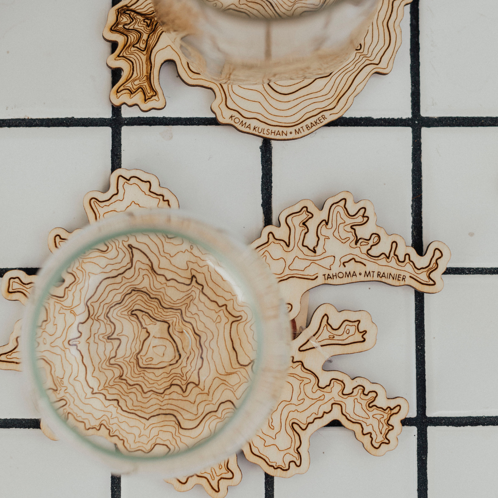 Mt Rainier Topography Coaster