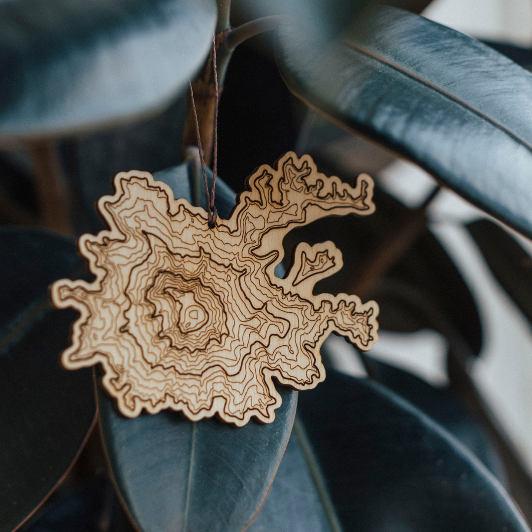 Mt Rainier Topography Ornament