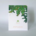 Tropical Waterfall Living Greeting Card