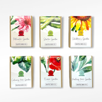 Children's Garden - Non-GMO Seed Collection