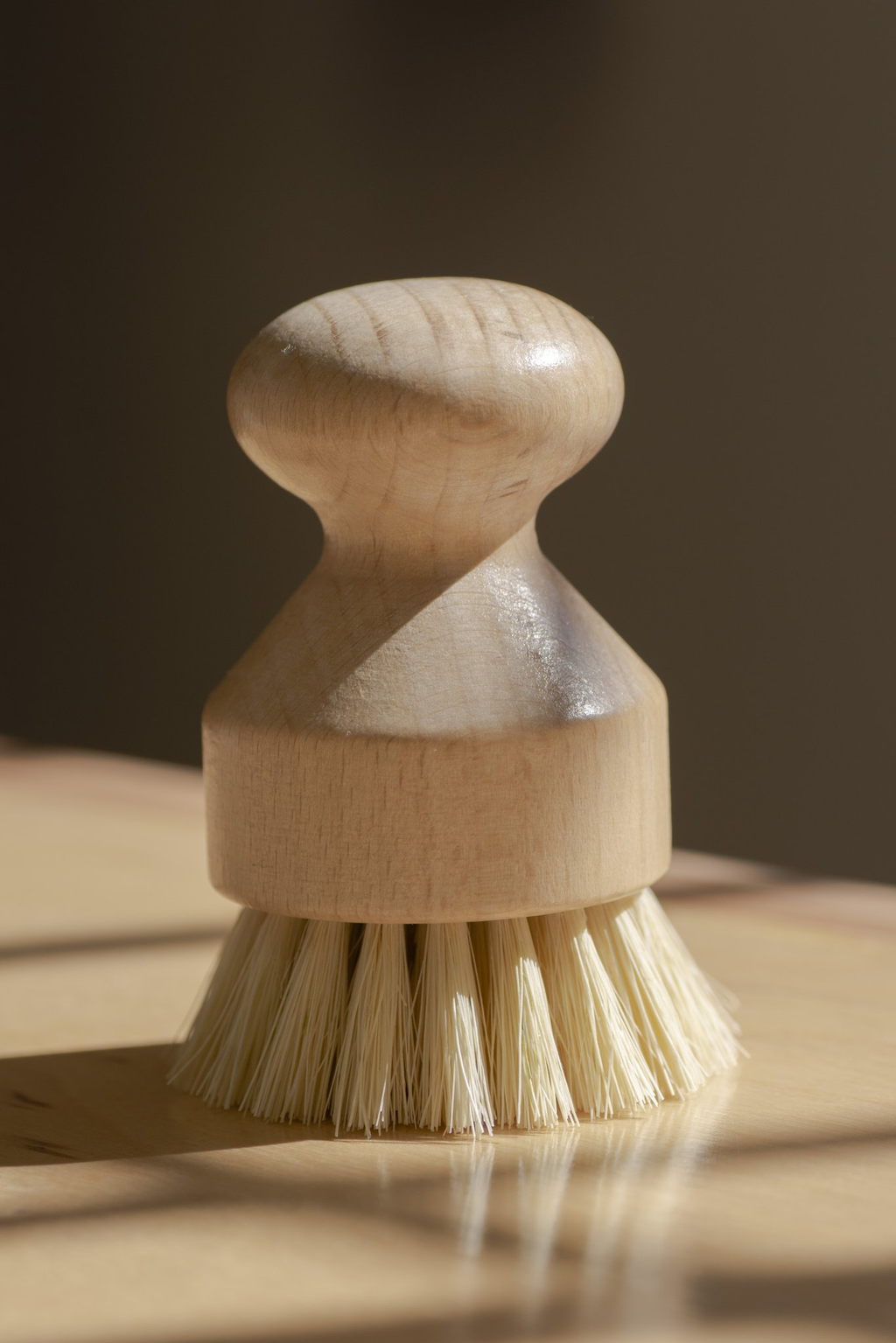 Casa Agave Dishwashing & Vegetable Hand Brush