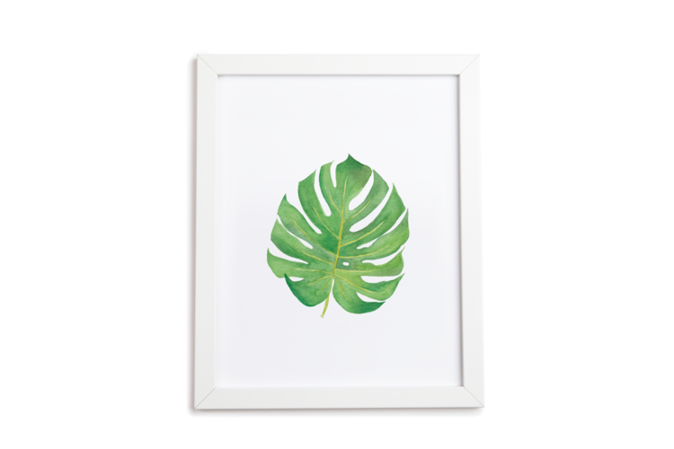 Monstera Art Print