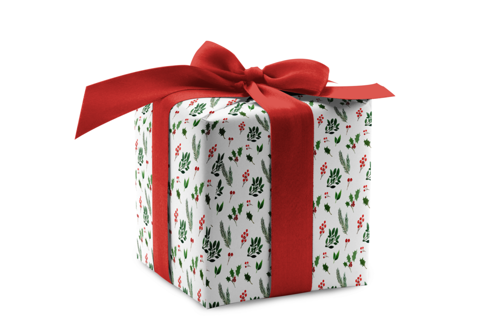 Winter Plants Wrapping Paper