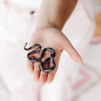 Small Ceramic Snake