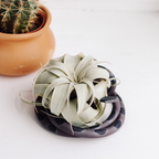 Medium Ceramic Snake