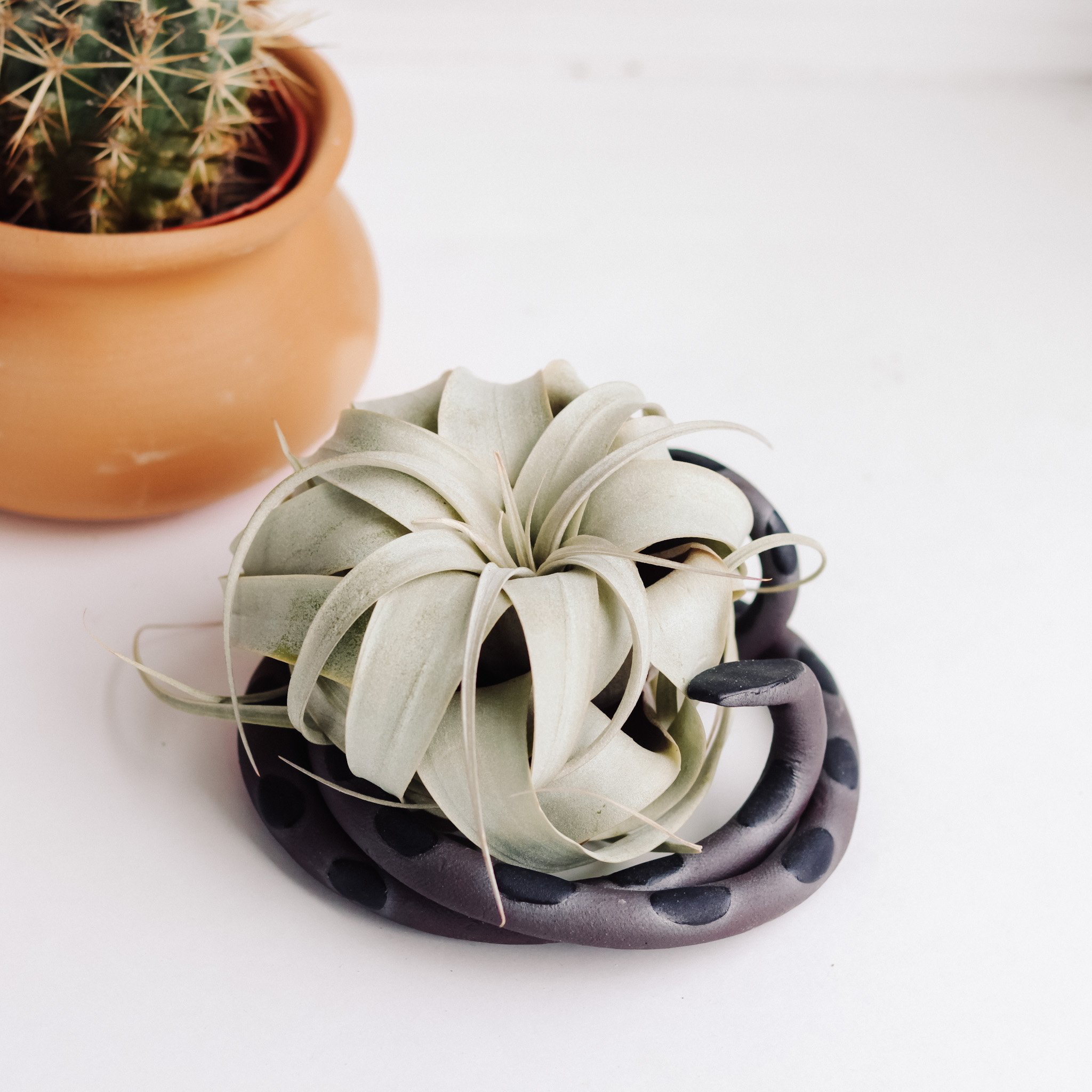 Medium Ceramic Snake