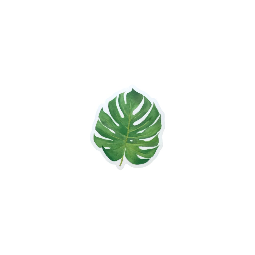 Monstera Sticker