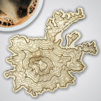 Mt Rainier Topography Coaster