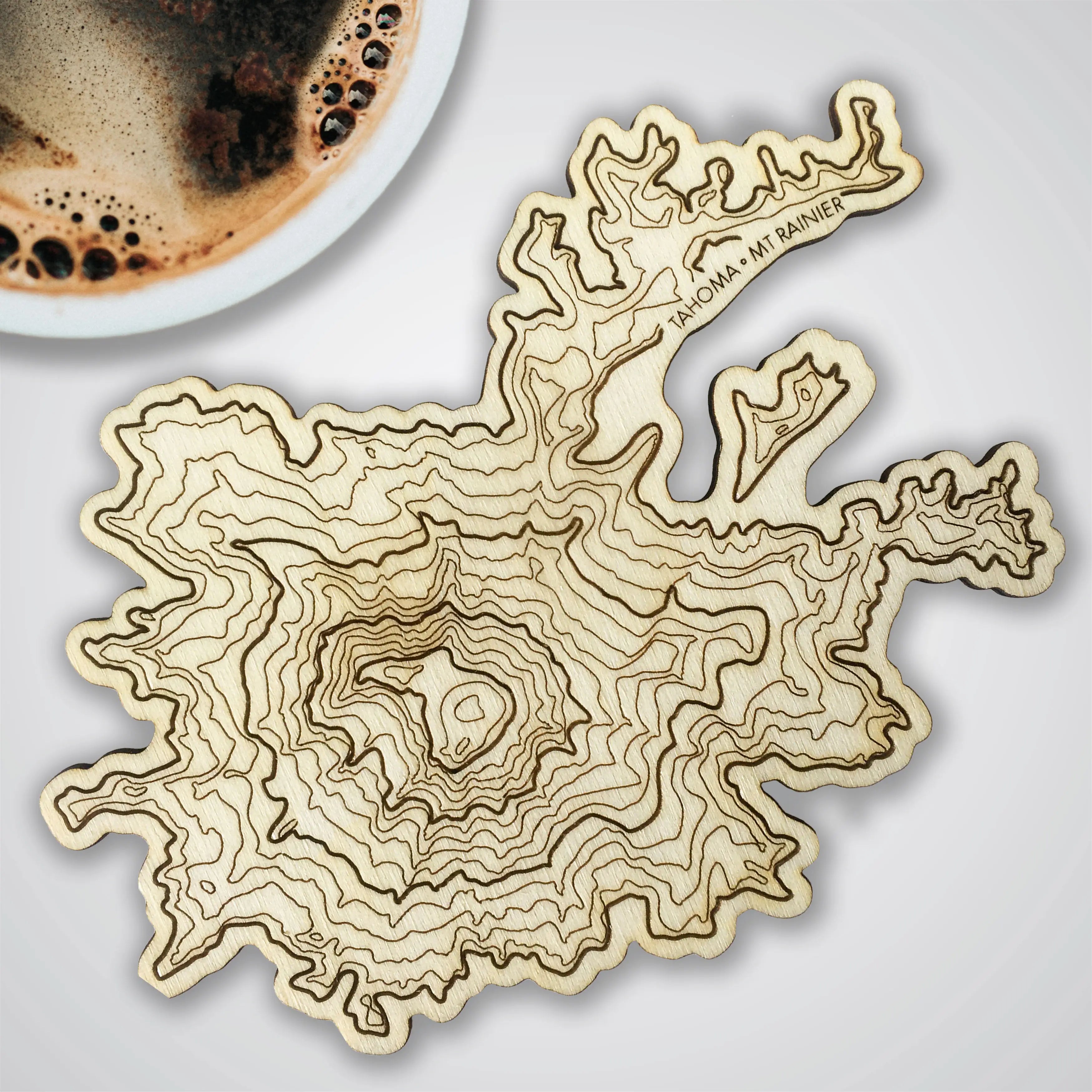 Mt Rainier Topography Coaster