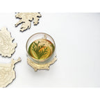 Mt St Helens Topography Coaster